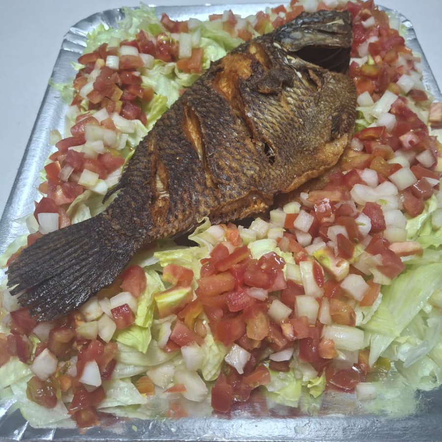 o peixe e uma tilapia