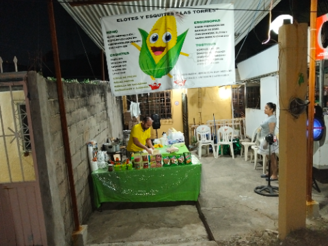 ELOTES Y ESQUITES LAS TORRES