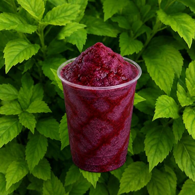 CHAMOYADA DE TRES MORAS