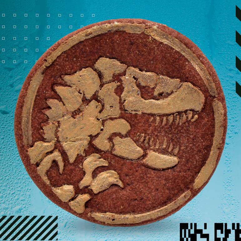 Galleta Jurassic
