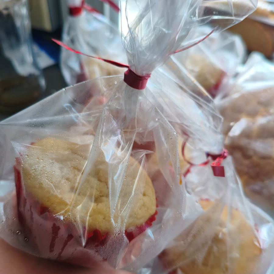 Bollito