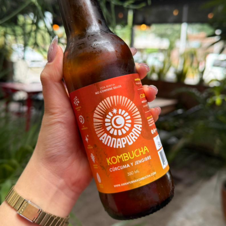 Kombucha Cúrcuma con Jengibre