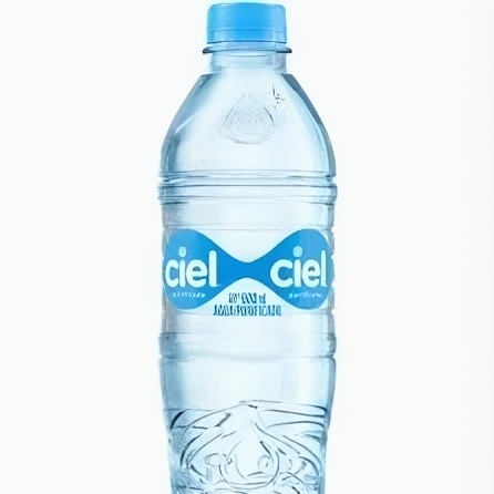 BOTELLA AGUA CIEL (600 ml)