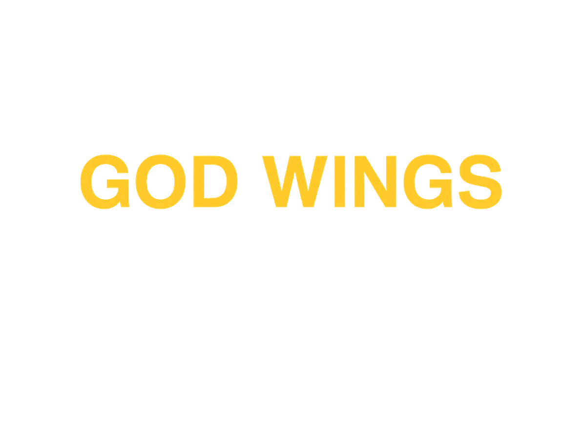 GOD WINGS