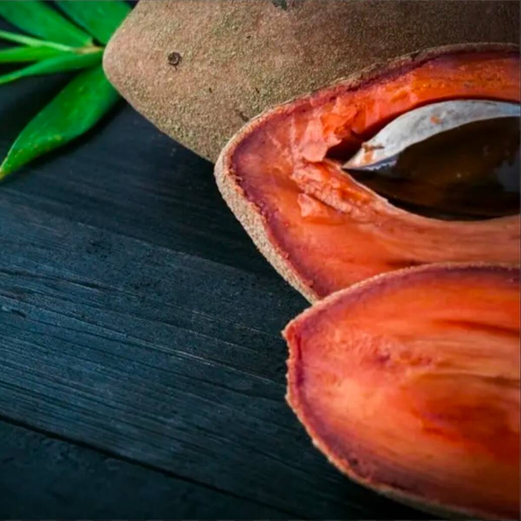Licuado de Mamey