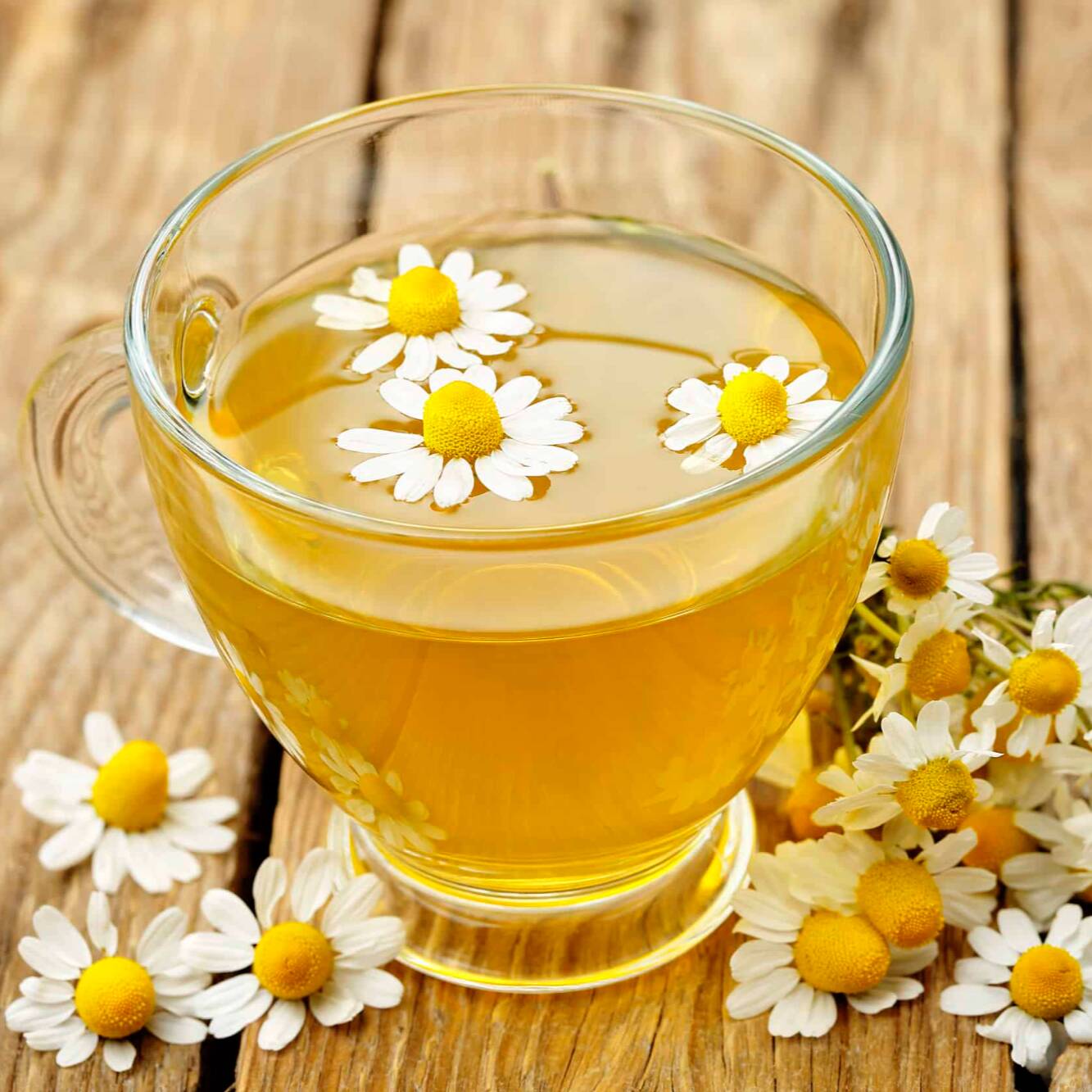 Té 12 oz