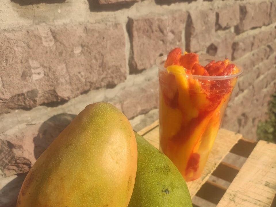 El Manguito