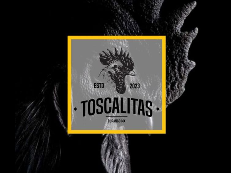 Toscalitas Durango
