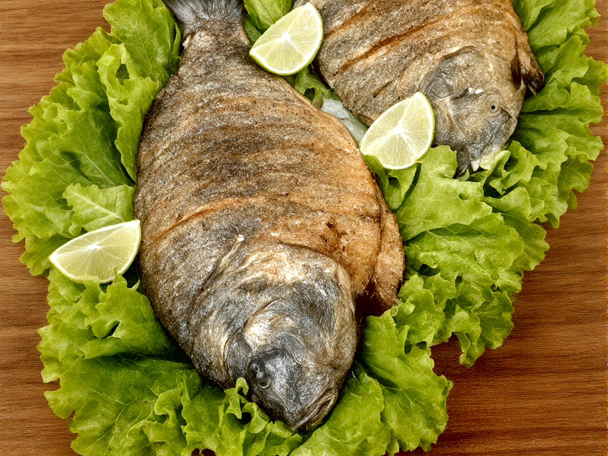 Território Do Peixe