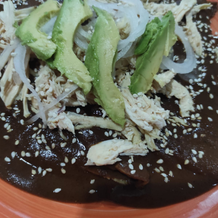 Envueltos de Mole