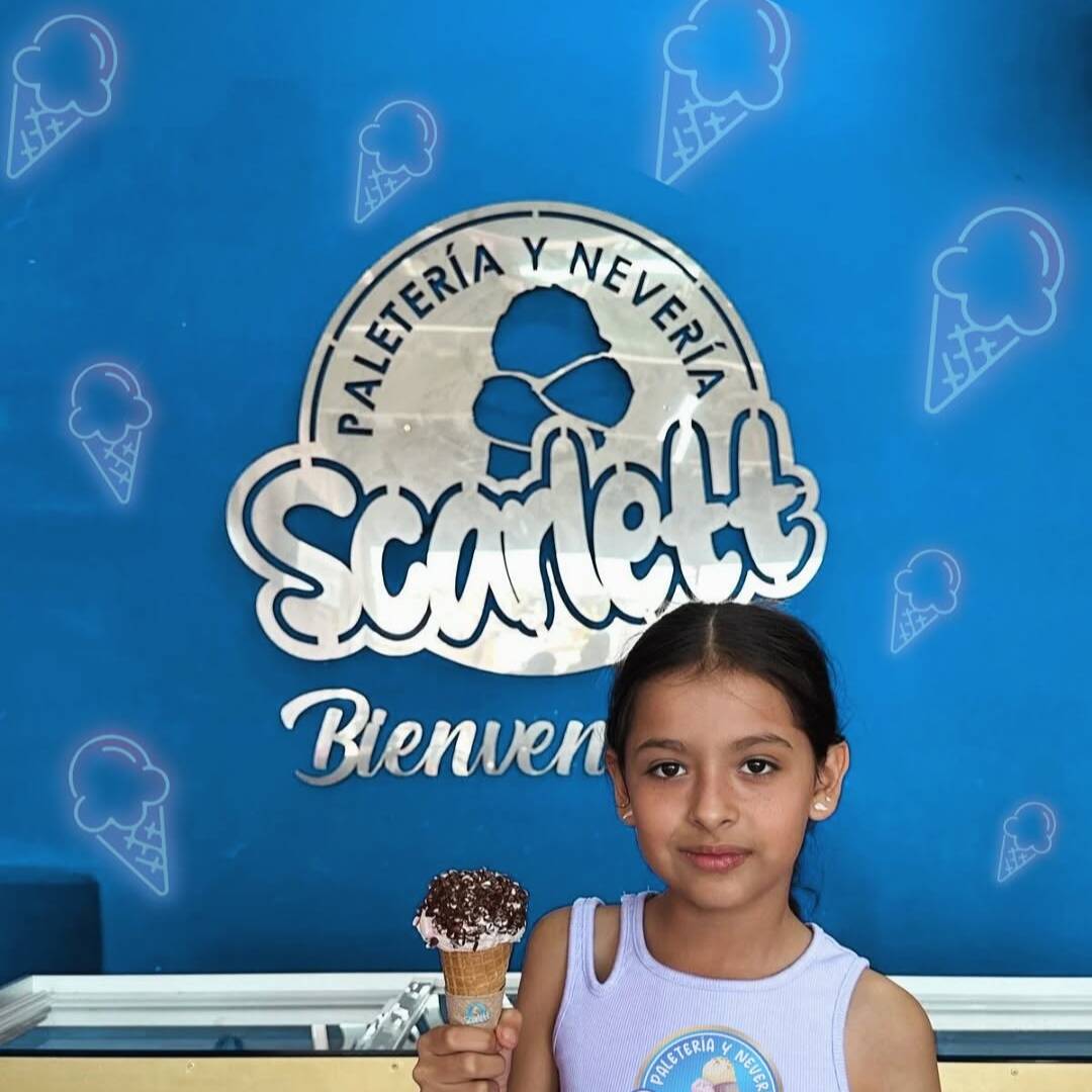 HELADO SABOR GANSITO