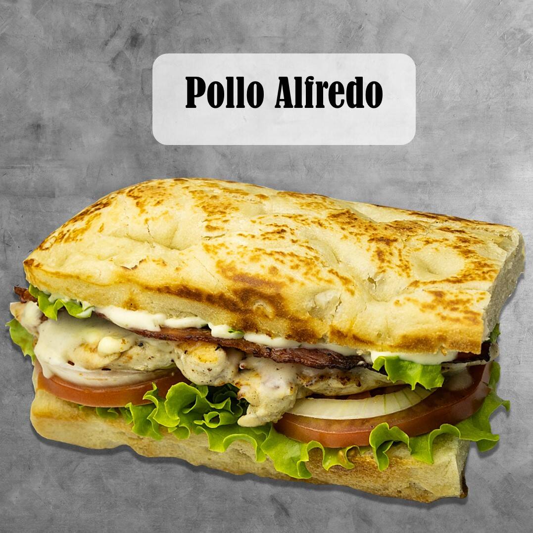 Panini Alfredo