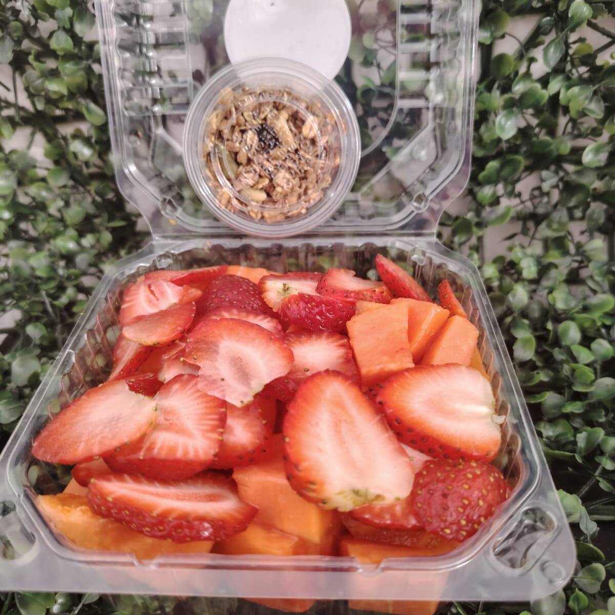 Papaya - Fresa