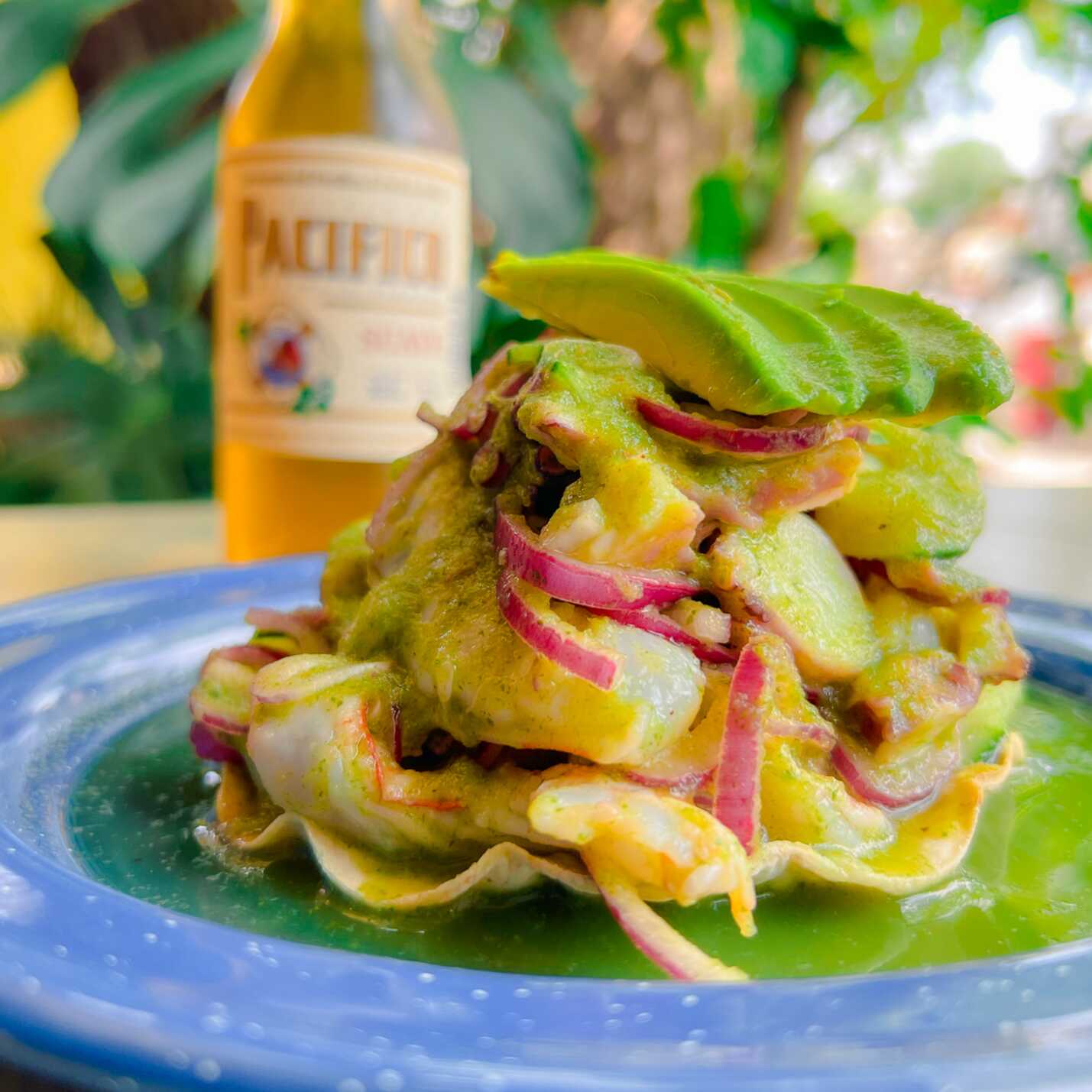 Tostada Viejona