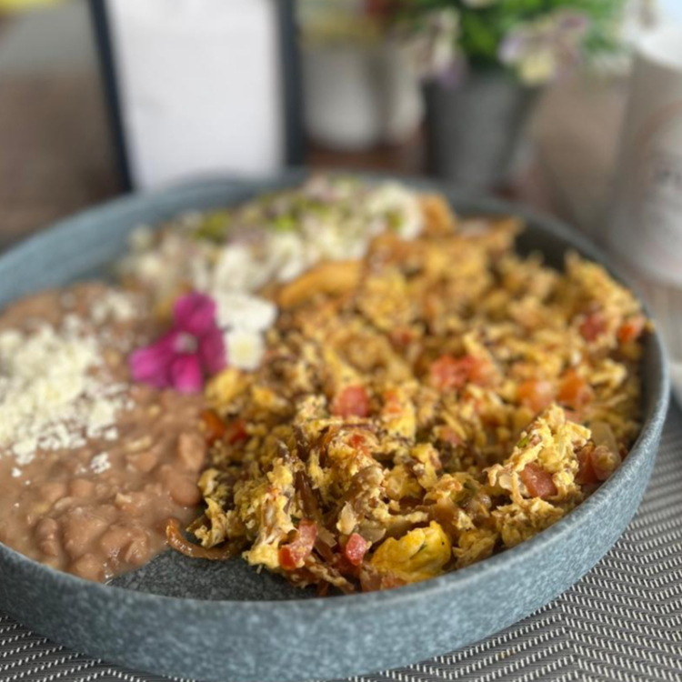 MACHACA NORTEÑA