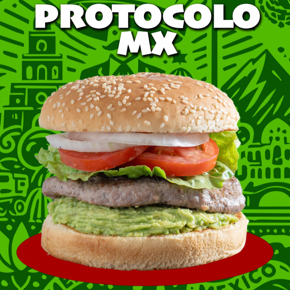 Protocolo MX
