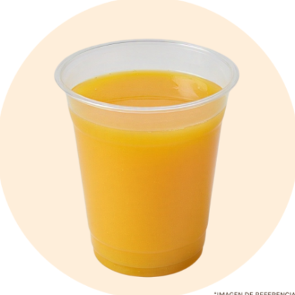 Jugo Mango 14 Oz
