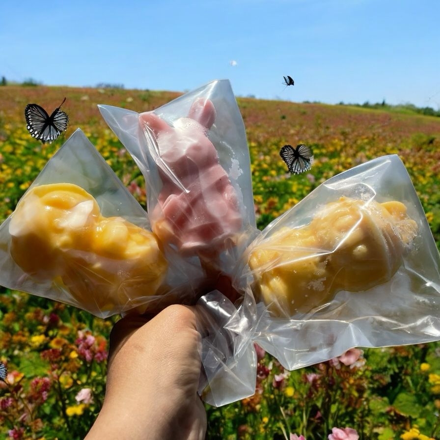 Paleta de Mango
