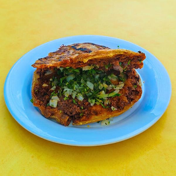 Gordita