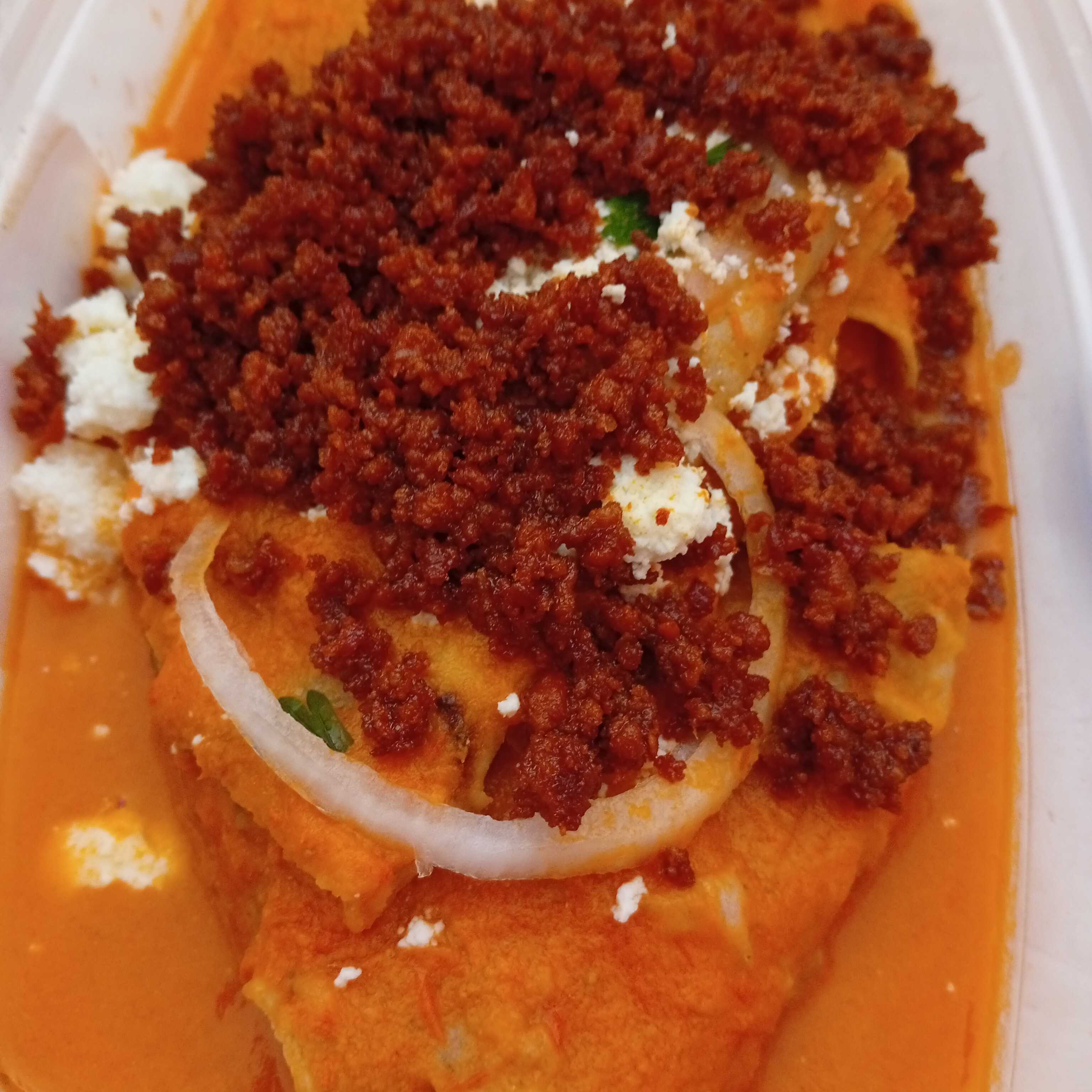 ENTOMATADAS CON PROTEINA