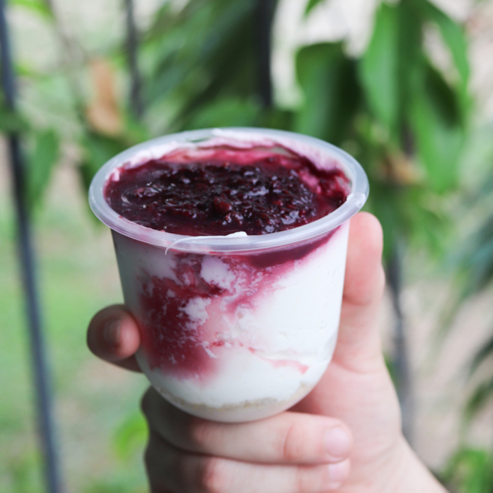 Mousse de Guanábana