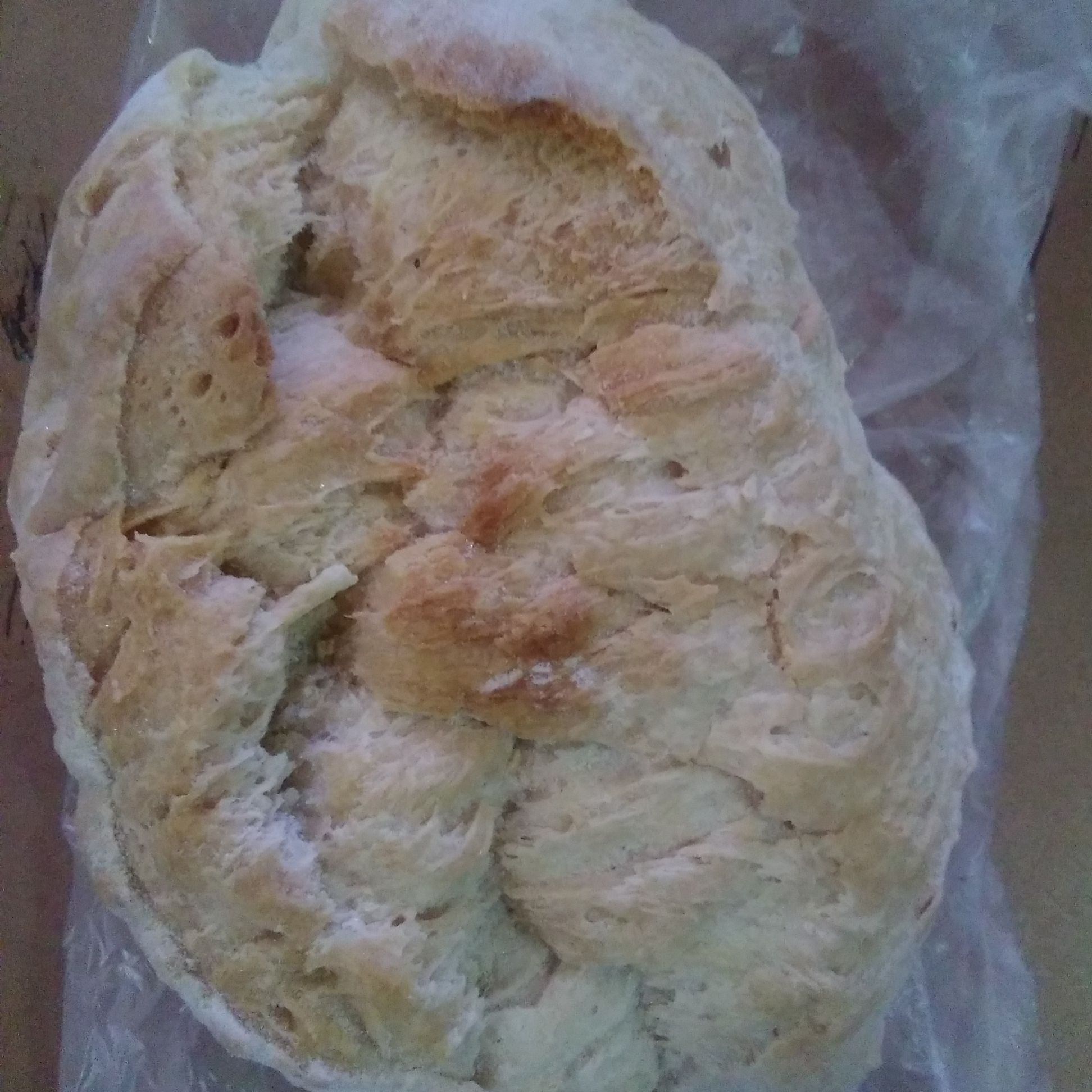 pan birote