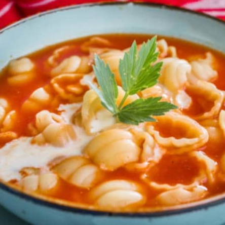 Sopa Aguada del Día