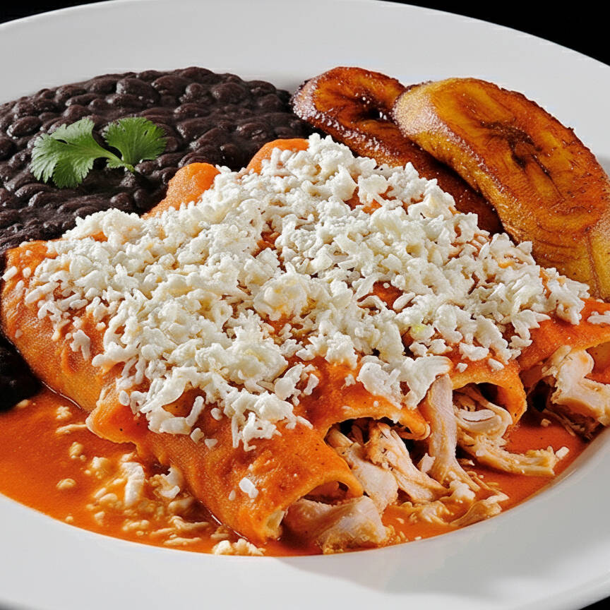 ENTOMATADAS DE POLLO