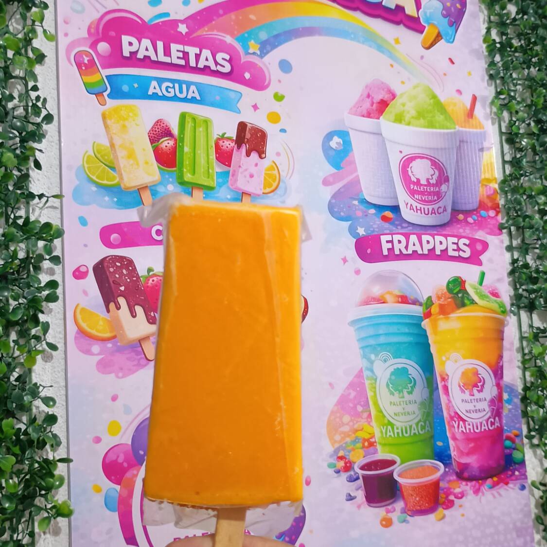 Paletas de Agua Grande