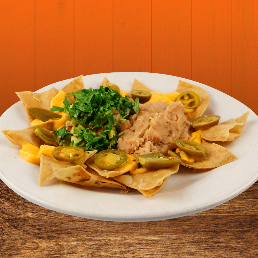 Nachos Familiares C