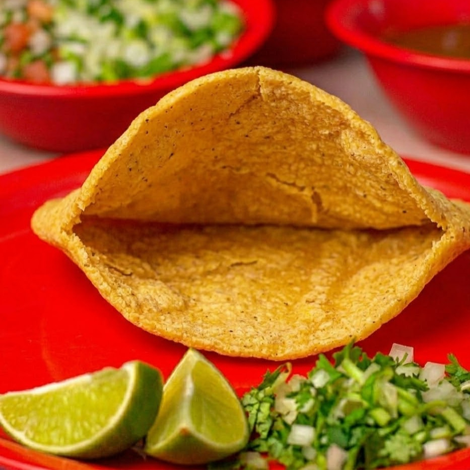 Gordita Vacía