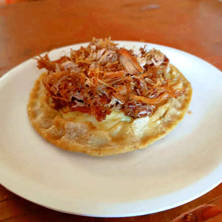 PELLIZCADA CON CARNITA