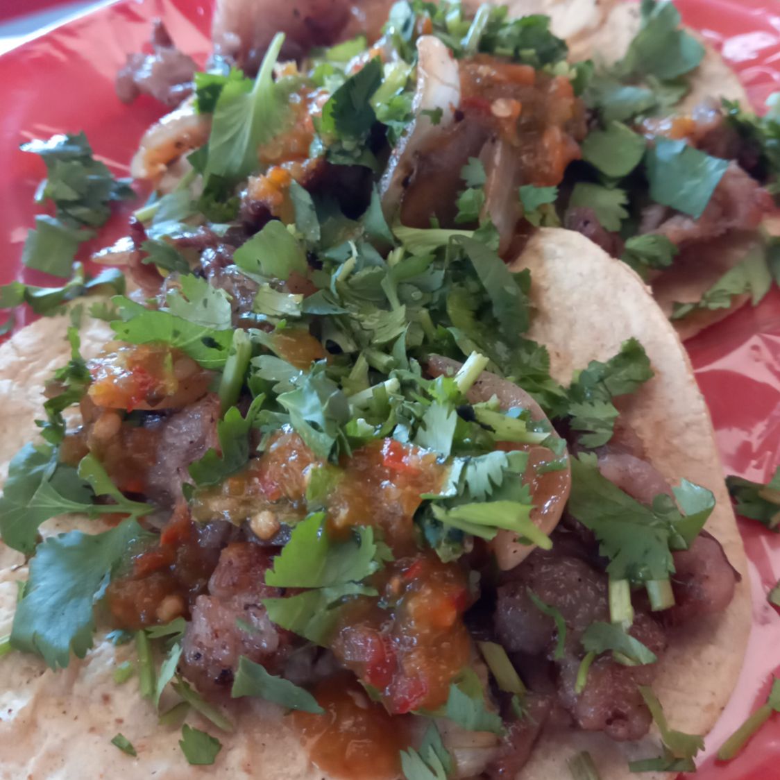 Taco de Obispo