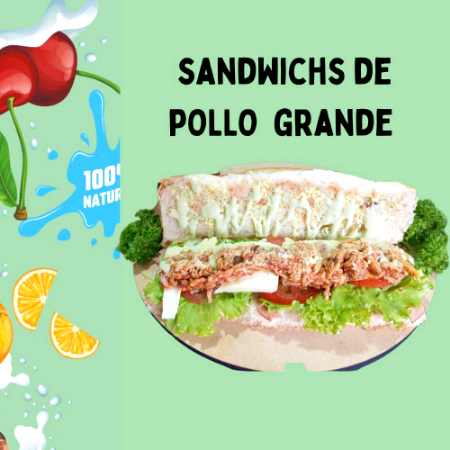 Sandwich Pollo de 15cm