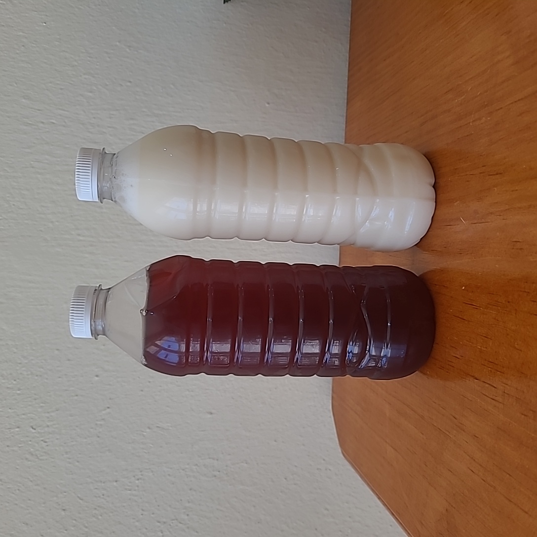 Agua de Sabor