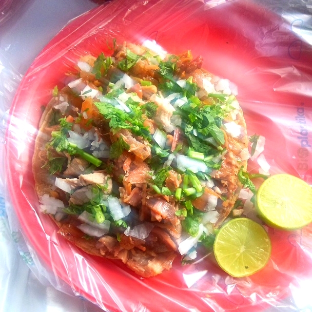 Taco de Buche