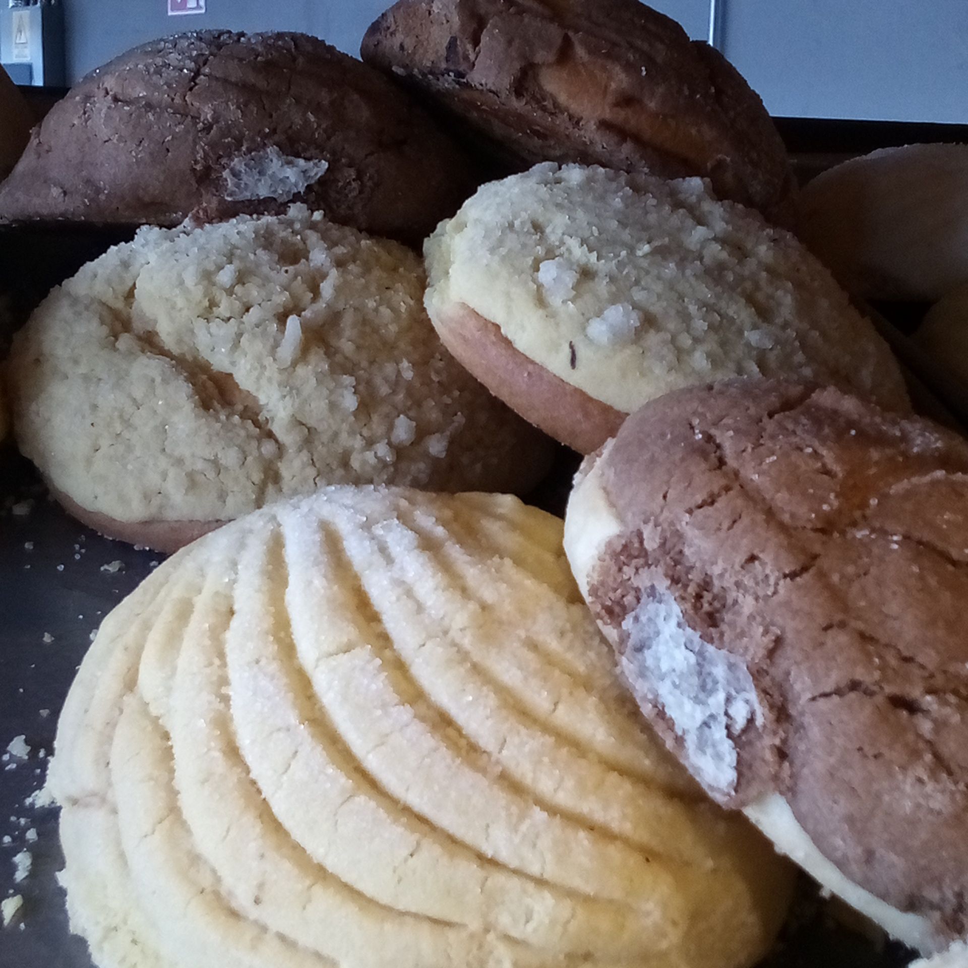 Paquete de 5 Conchas