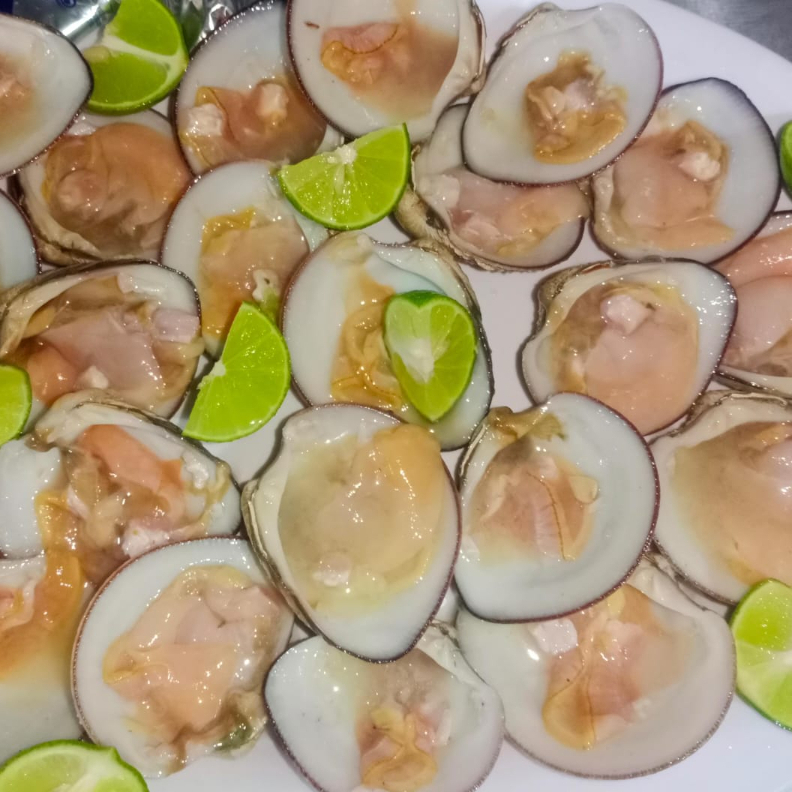 12 Almejas Chinas
