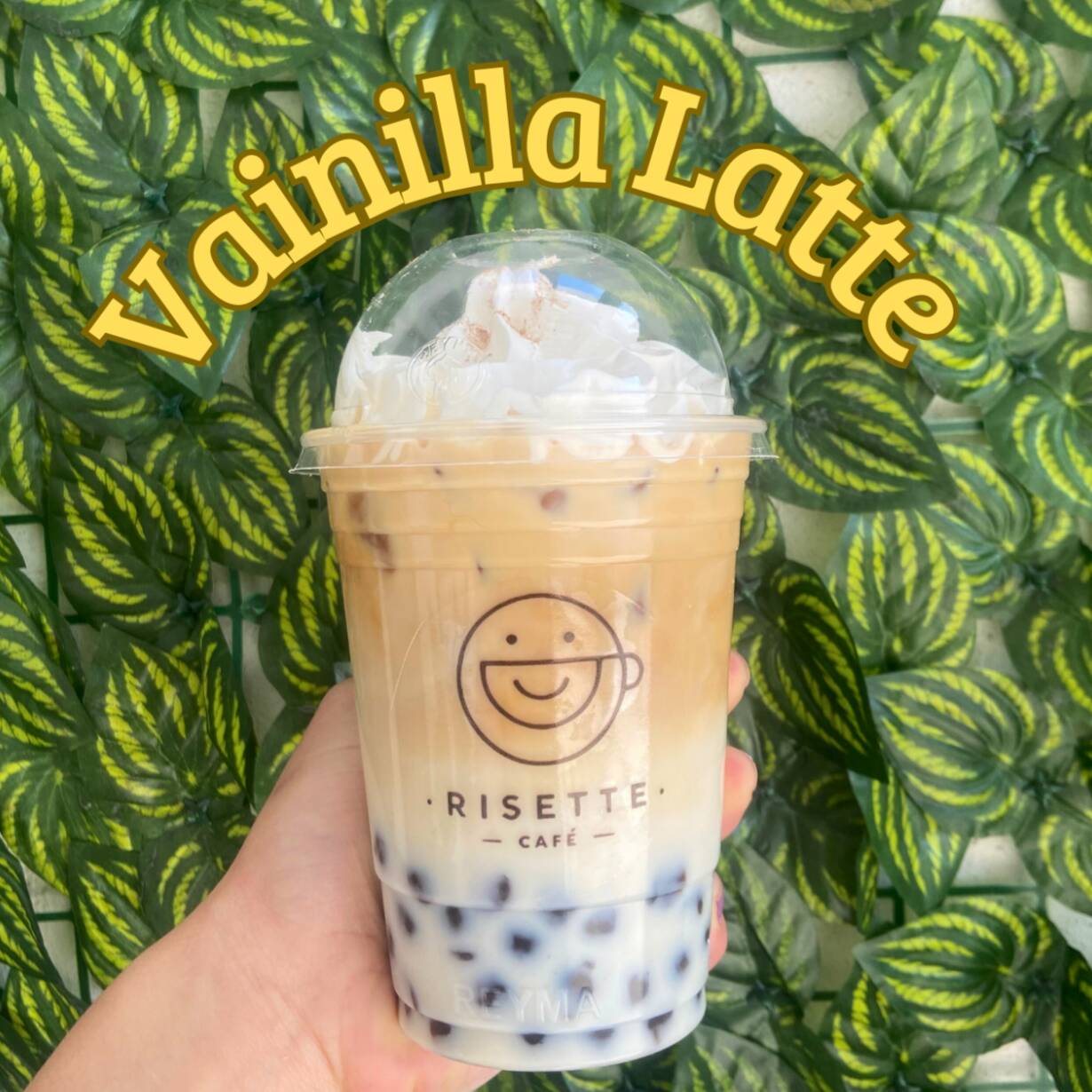 Vainilla Latte en las Rocas