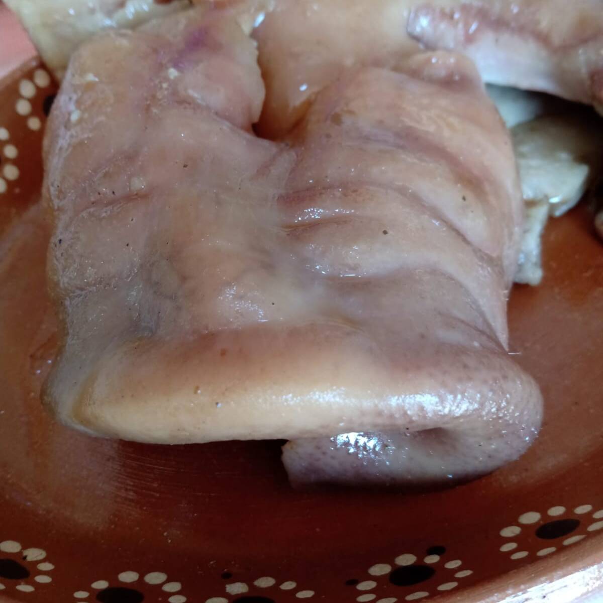 Taco de Trompa