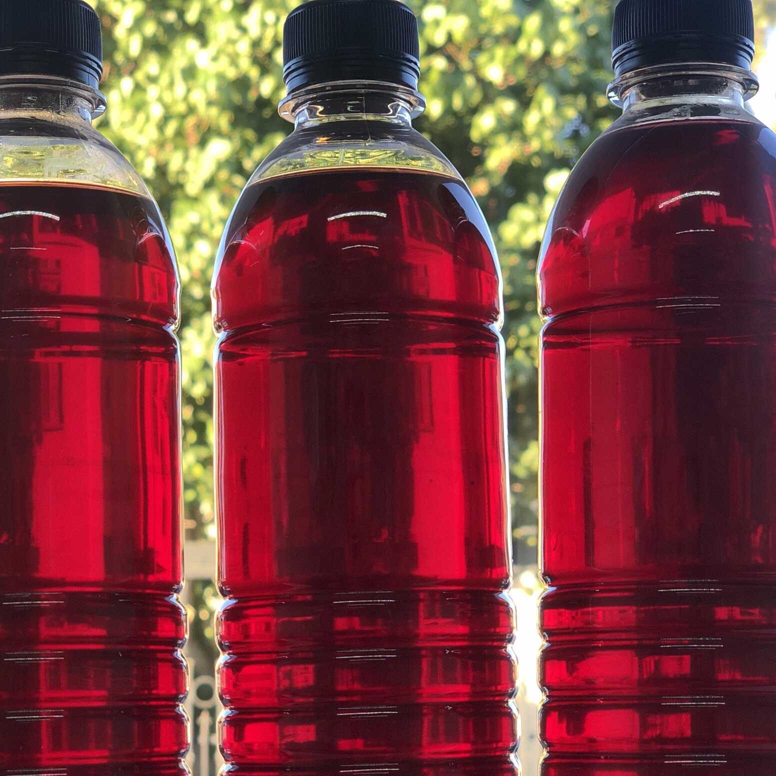 Agua jamaica natural