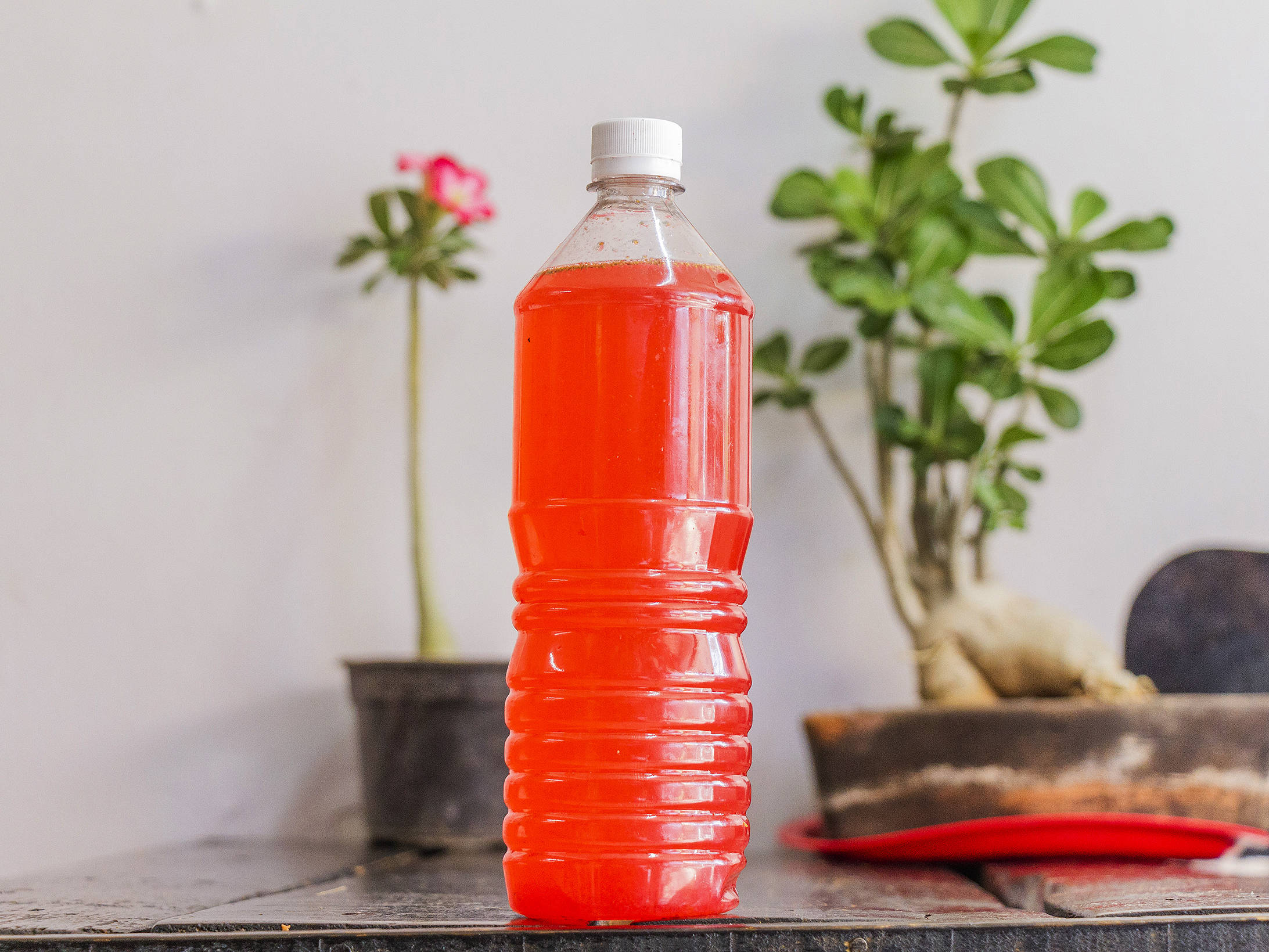 Agua fresca(varios sabores)