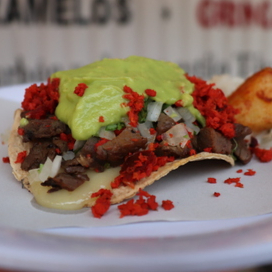 Volcan Longaniza
