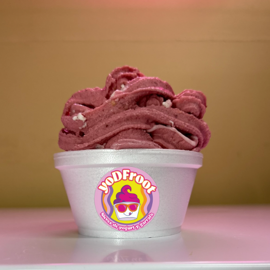 Nieve de Yogurt Berry Cachanilla