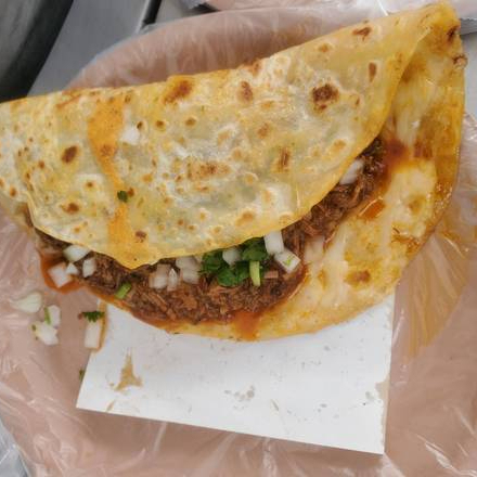 Quesabirria Harinas