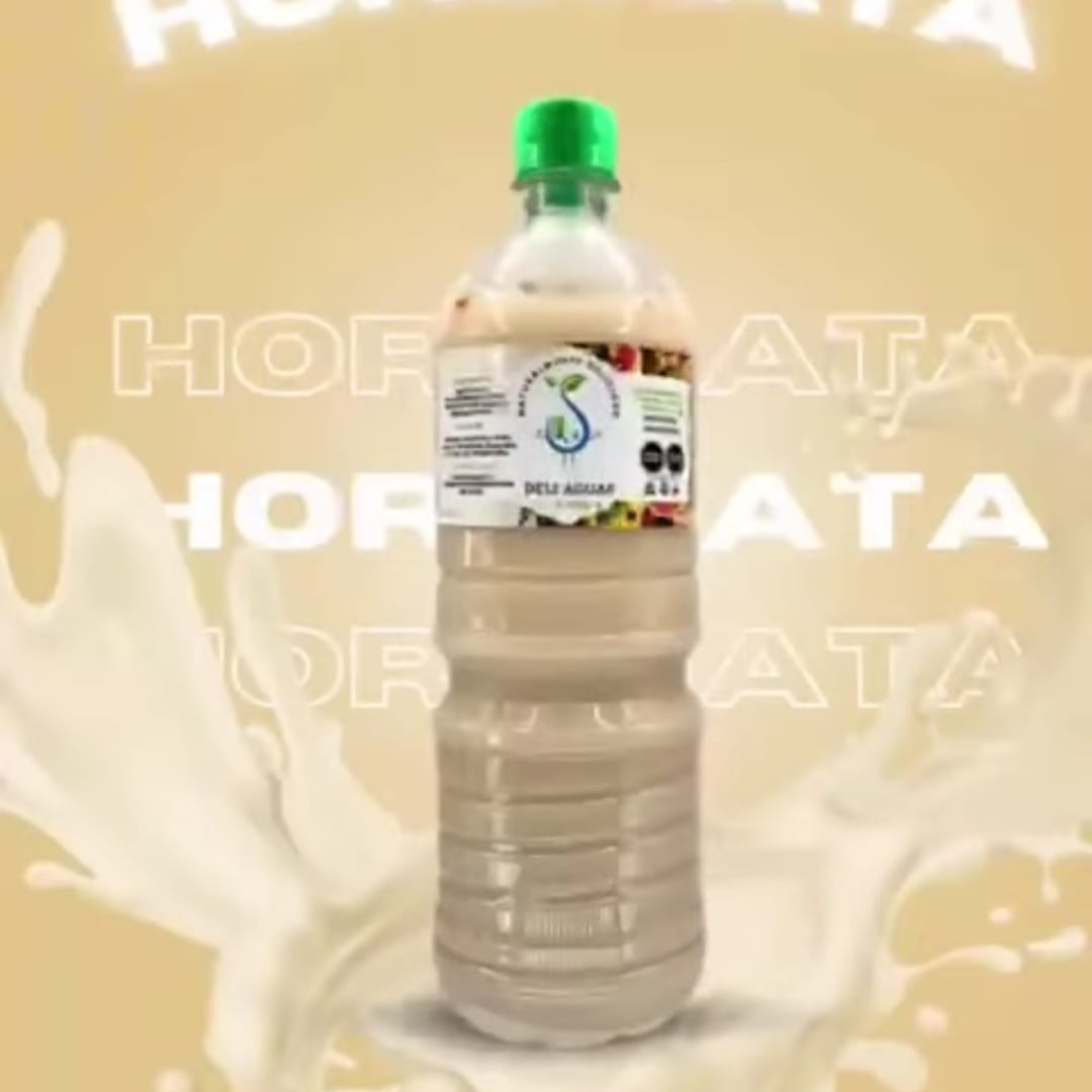 Agua de Horchata Litro