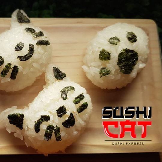 Kitty Rice