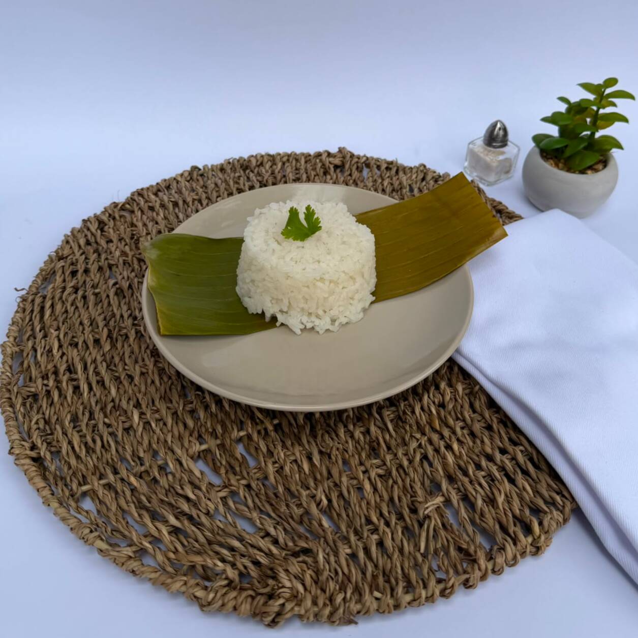 Porción de Arroz Blanco