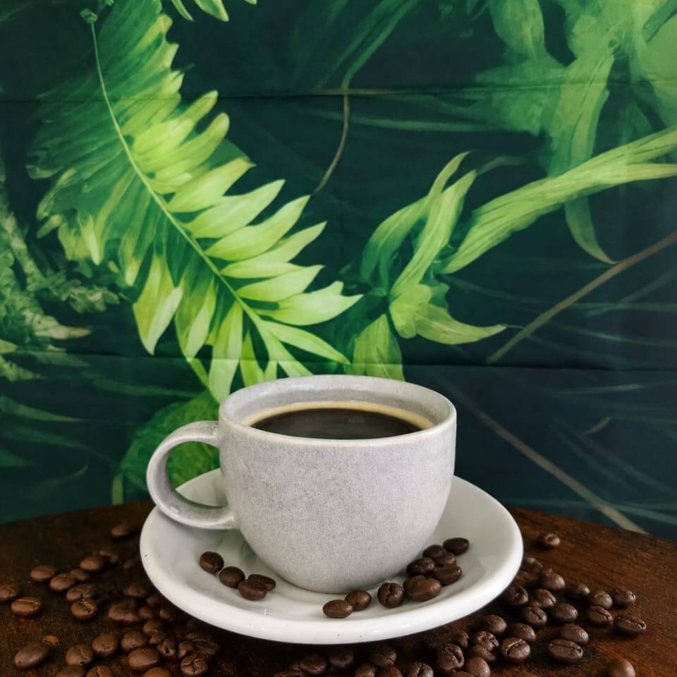 Americano Regular 12oz Caliente o Frio