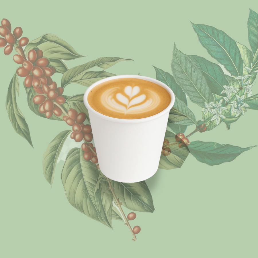 Flat White (6oz)